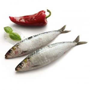 Sardinha Granel
